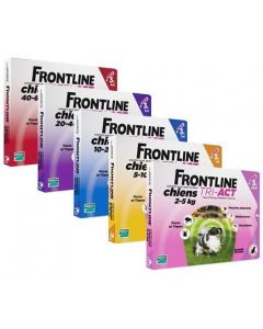 Frontline cani TRI ACT Fialette
