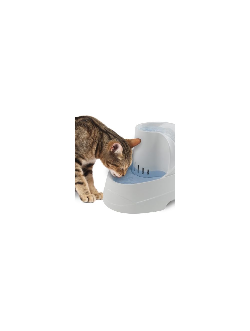 Vega fontanella abbeveratoio con pompa e filtro per gatti