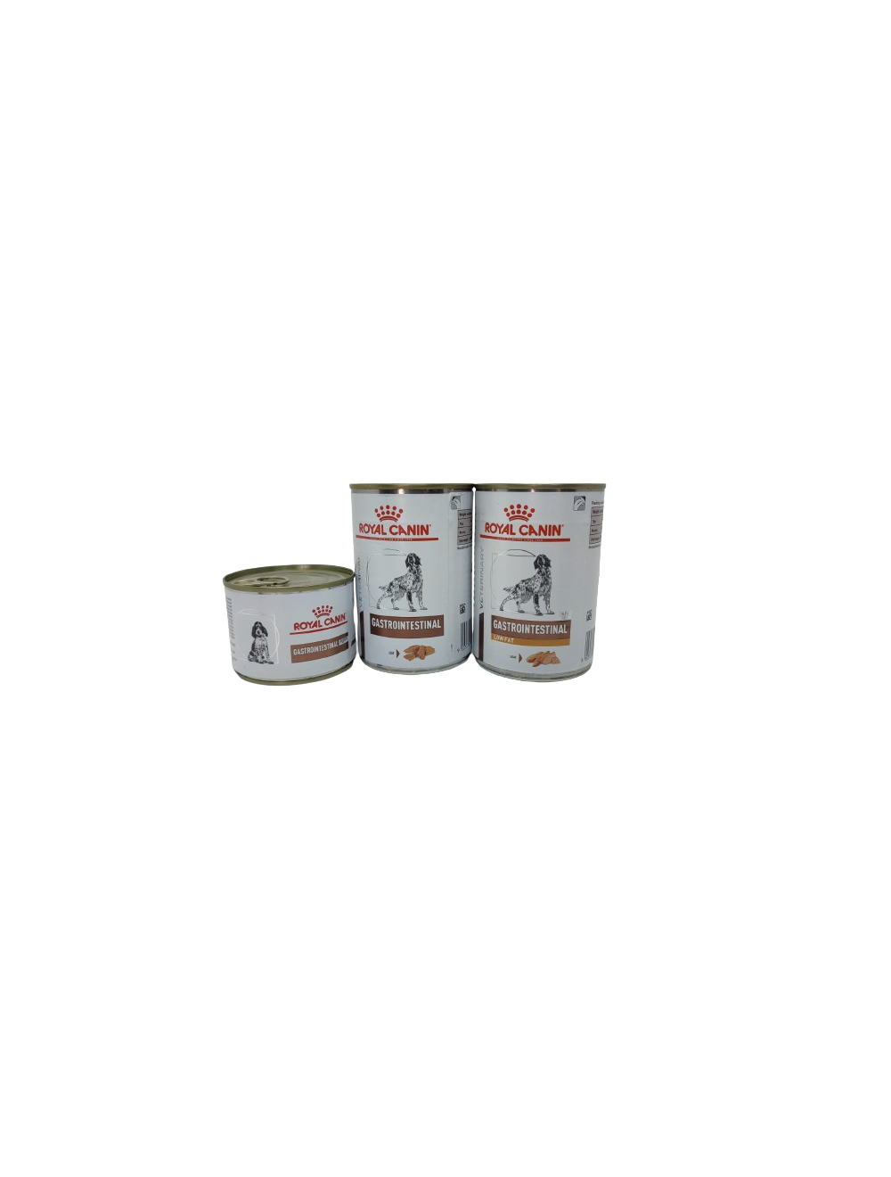 GASTROINTESTINAL Cane Royal Canin