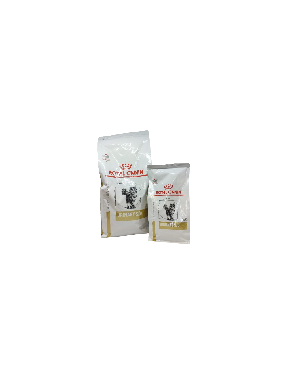 royal canin urinary S/O gatto