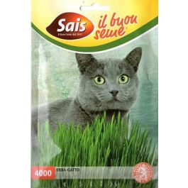 Seme erba gatto Sais - Agraria Comand