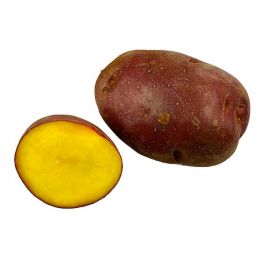 150 Pezzi Semi Di Patata Da Semina - Solanum Tuberosum - Piante Resistenti  Per Il Giardino, Semi Di Ortaggi E Piante Semi Di Patate, Ortaggi Semi  Biologici, Piante Verdi Piante Da 